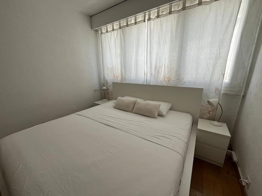 85m2 Au Centre-ville A 2 Pas Du Jet D'eau Apartment Geneva