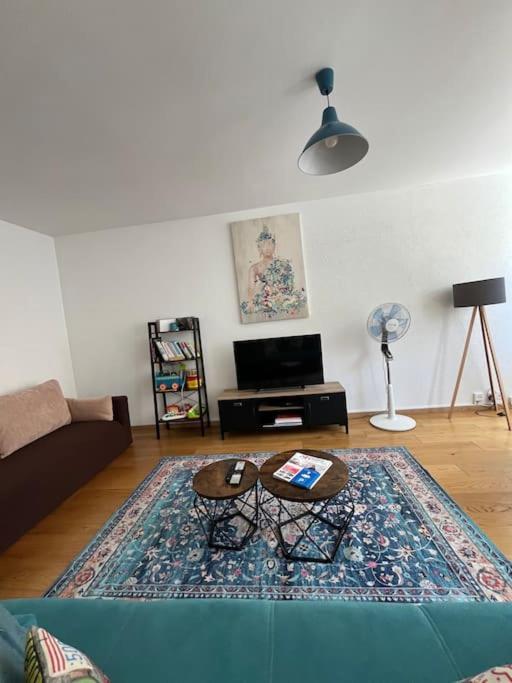 85m2 Au Centre-ville A 2 Pas Du Jet D'eau * Geneva