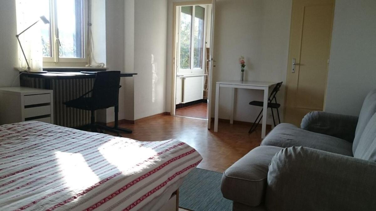 Geneva Central Apartment Apartment Geneva