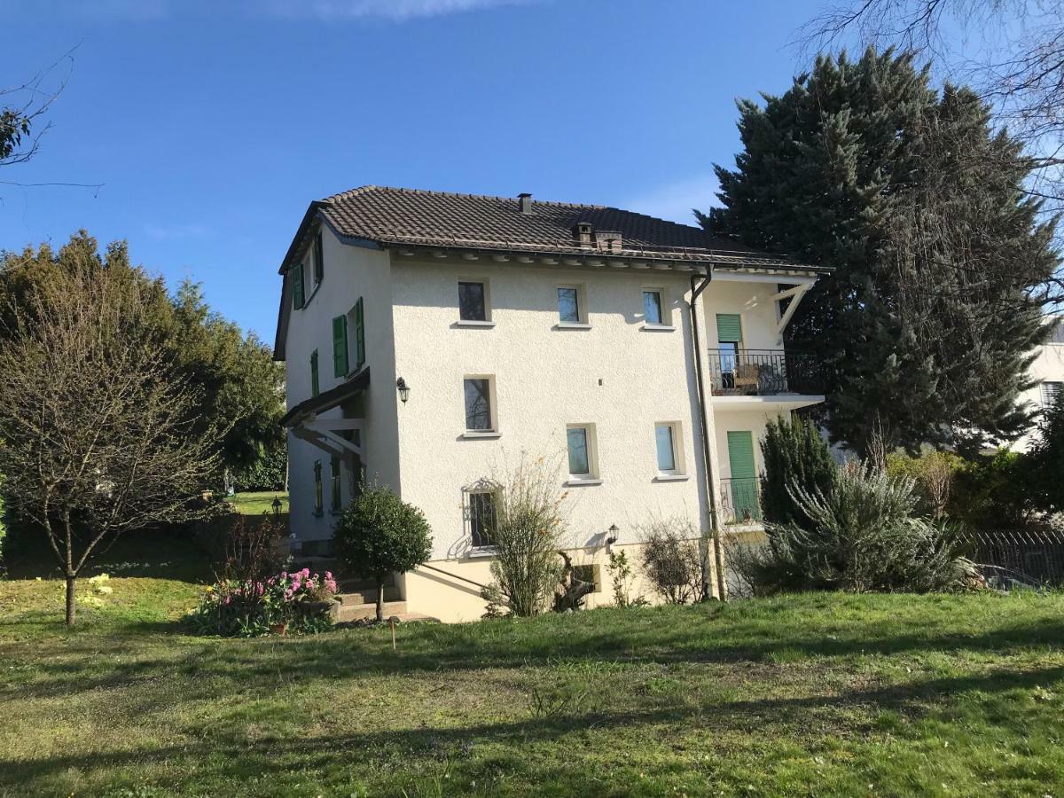 Antonio's Place I