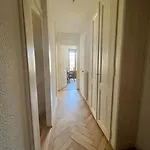 Magnifique Appartement En Plein Centre De Geneve