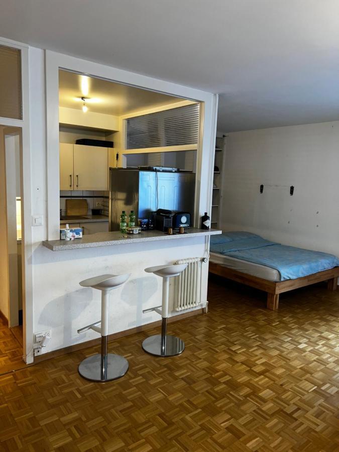 Beautiful Large Studio In Center Of Free Wifi Geneva