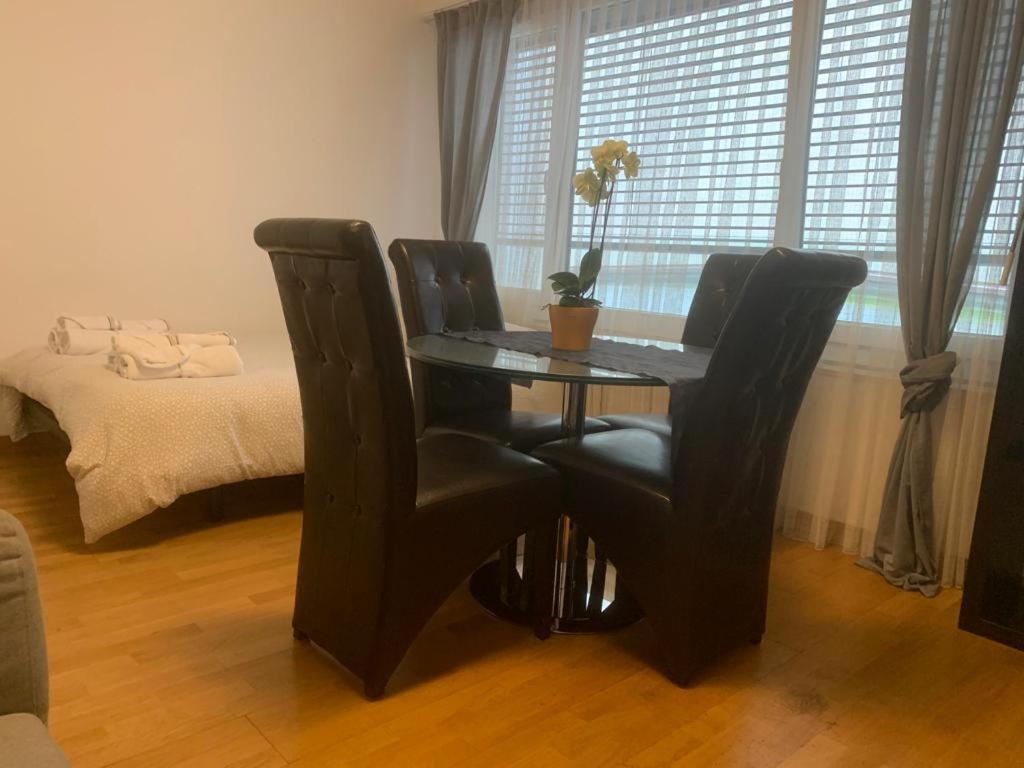 Apartment Studio Jet D'eau *