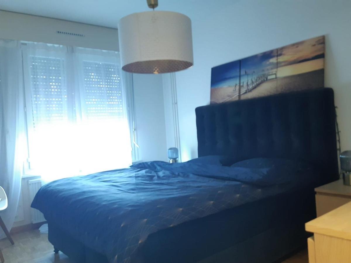 Lovely 2 Bedroom Flat 10 Min From Center Apartment Geneva