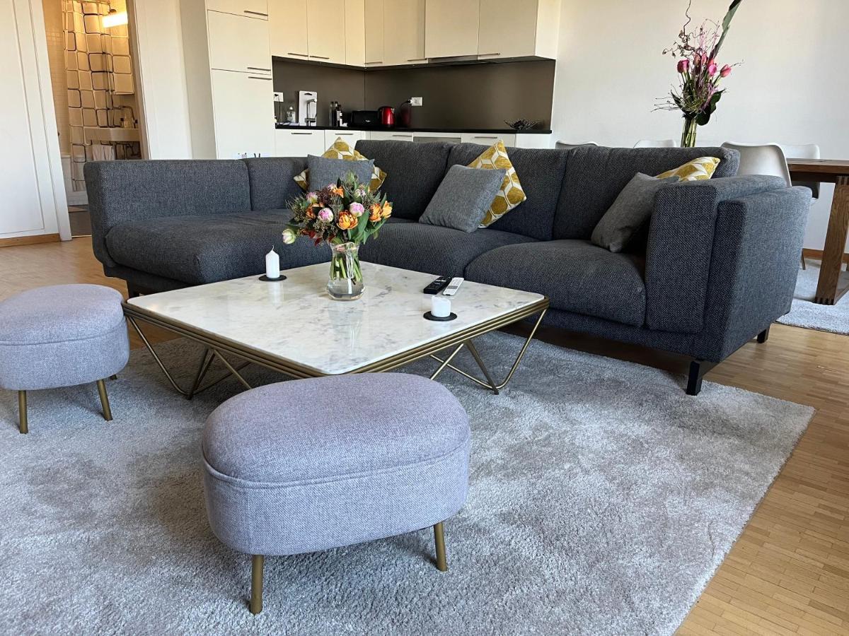 Rive Rhone Flat Geneva