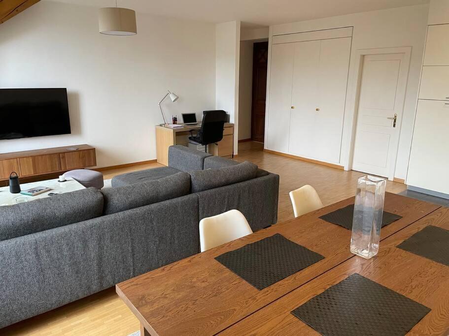 Apartment Rive Rhone Flat Geneva