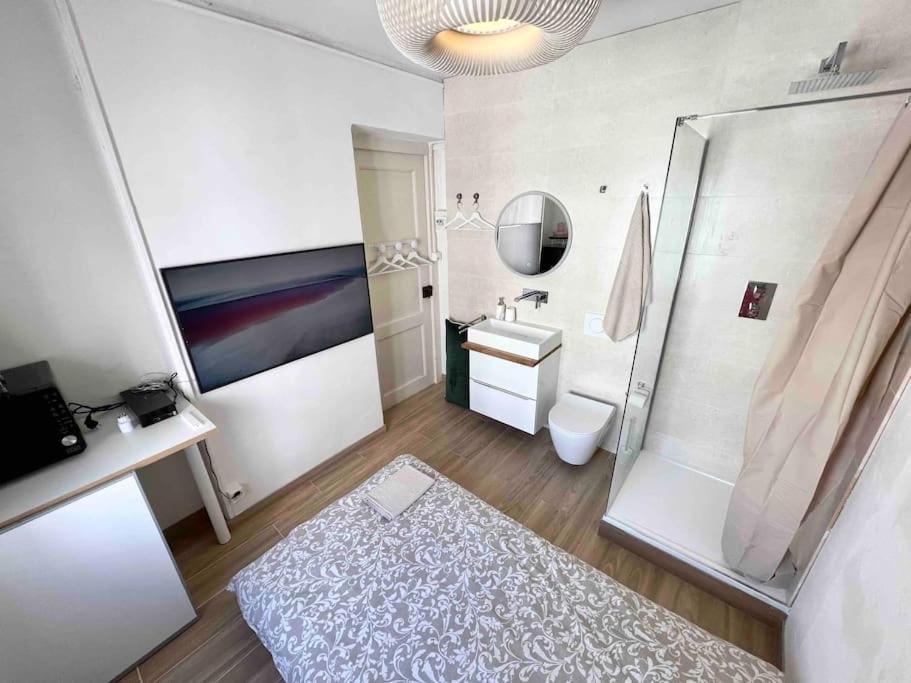 New Studio With Private Bathroom And Balcony Geneva