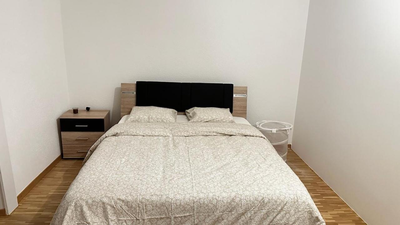 Quartier De Plainpalais Homestay *