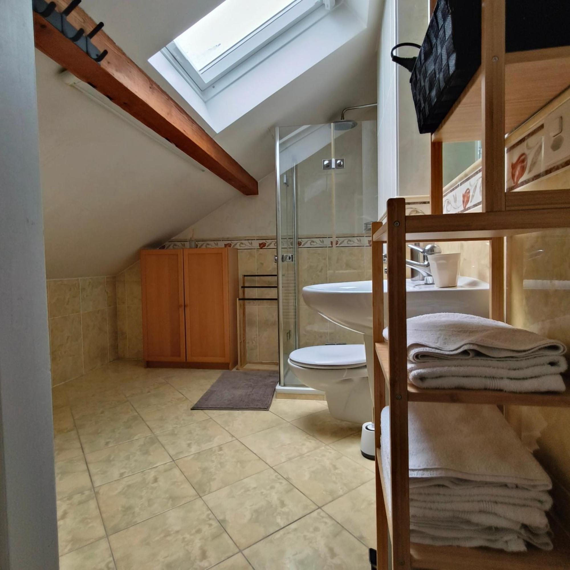 Villa Maison De Charme Au Coeur De ! Geneva