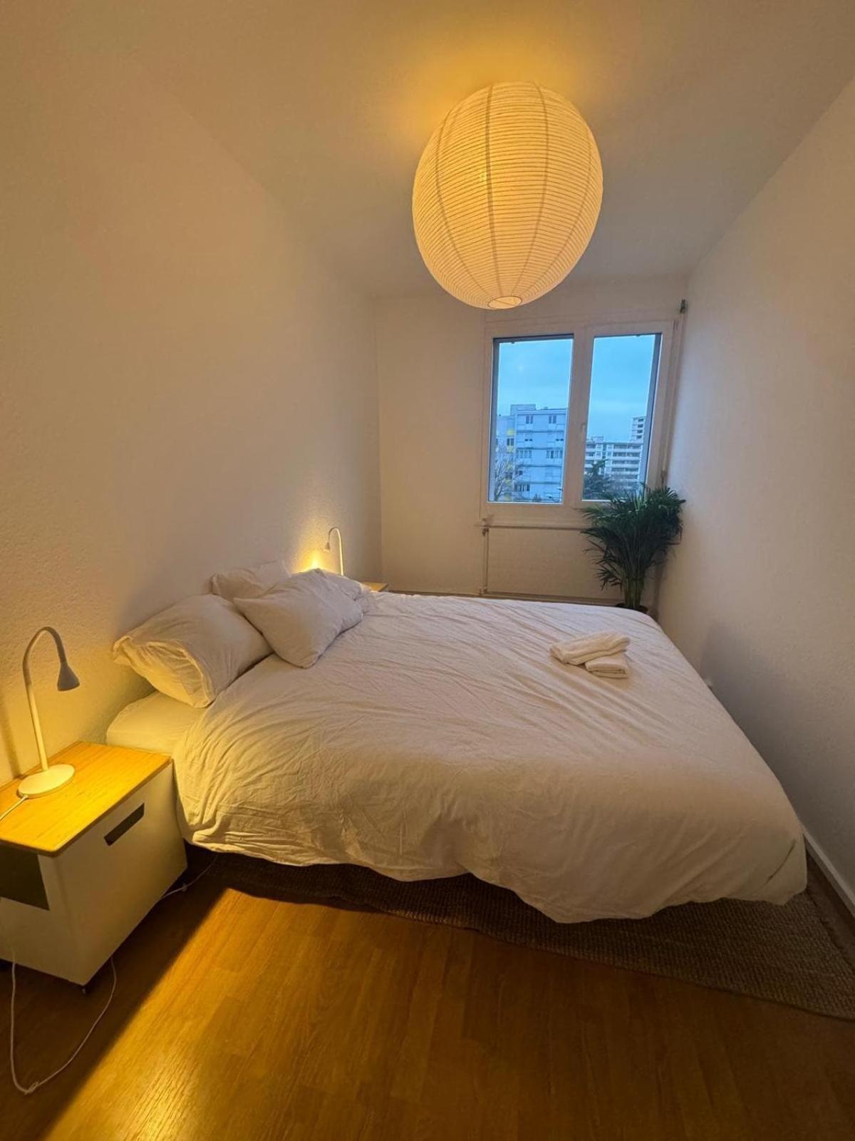 Spacious 3 Bedroom Duplex, Netflix, Remote Work * Geneva