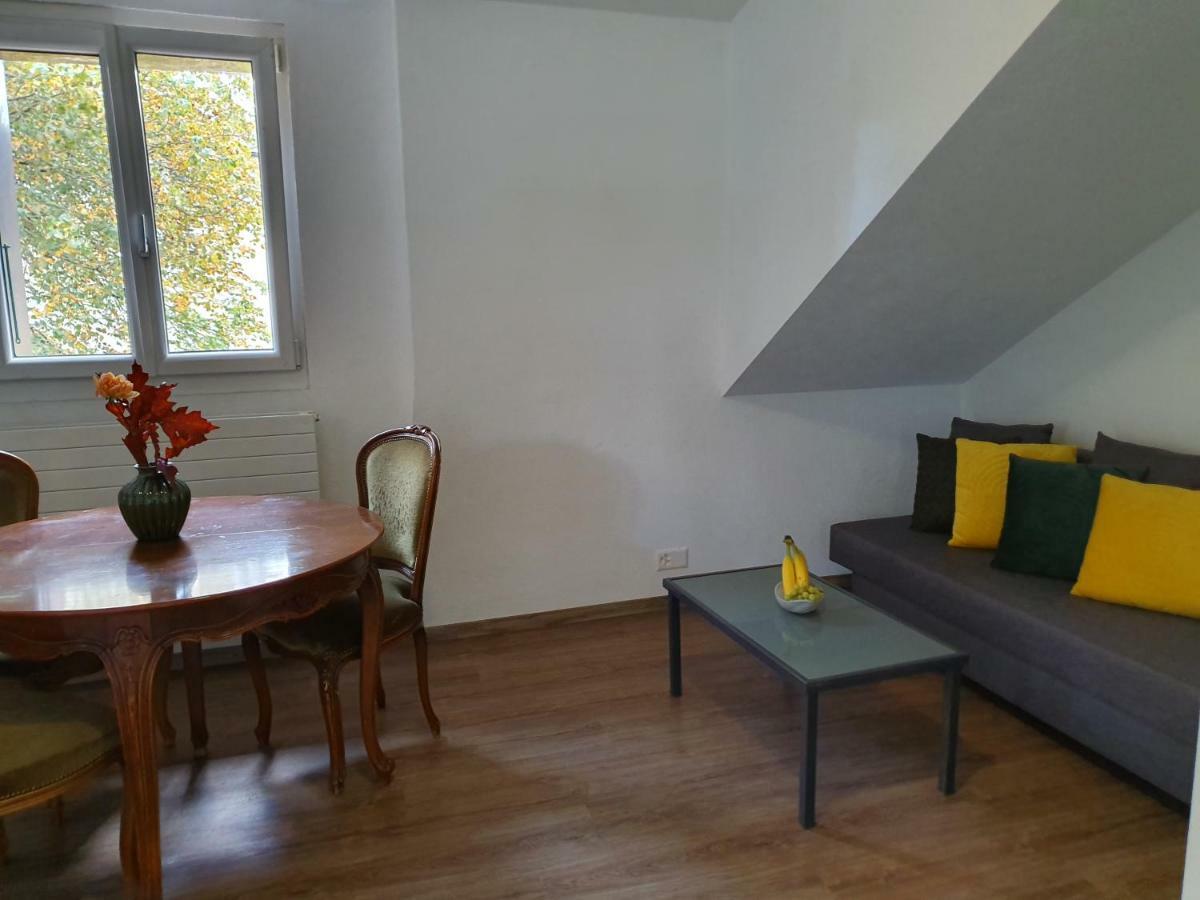La Fontaine Apartment Geneva