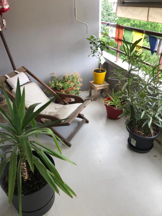 Cozy Studio Apartment *