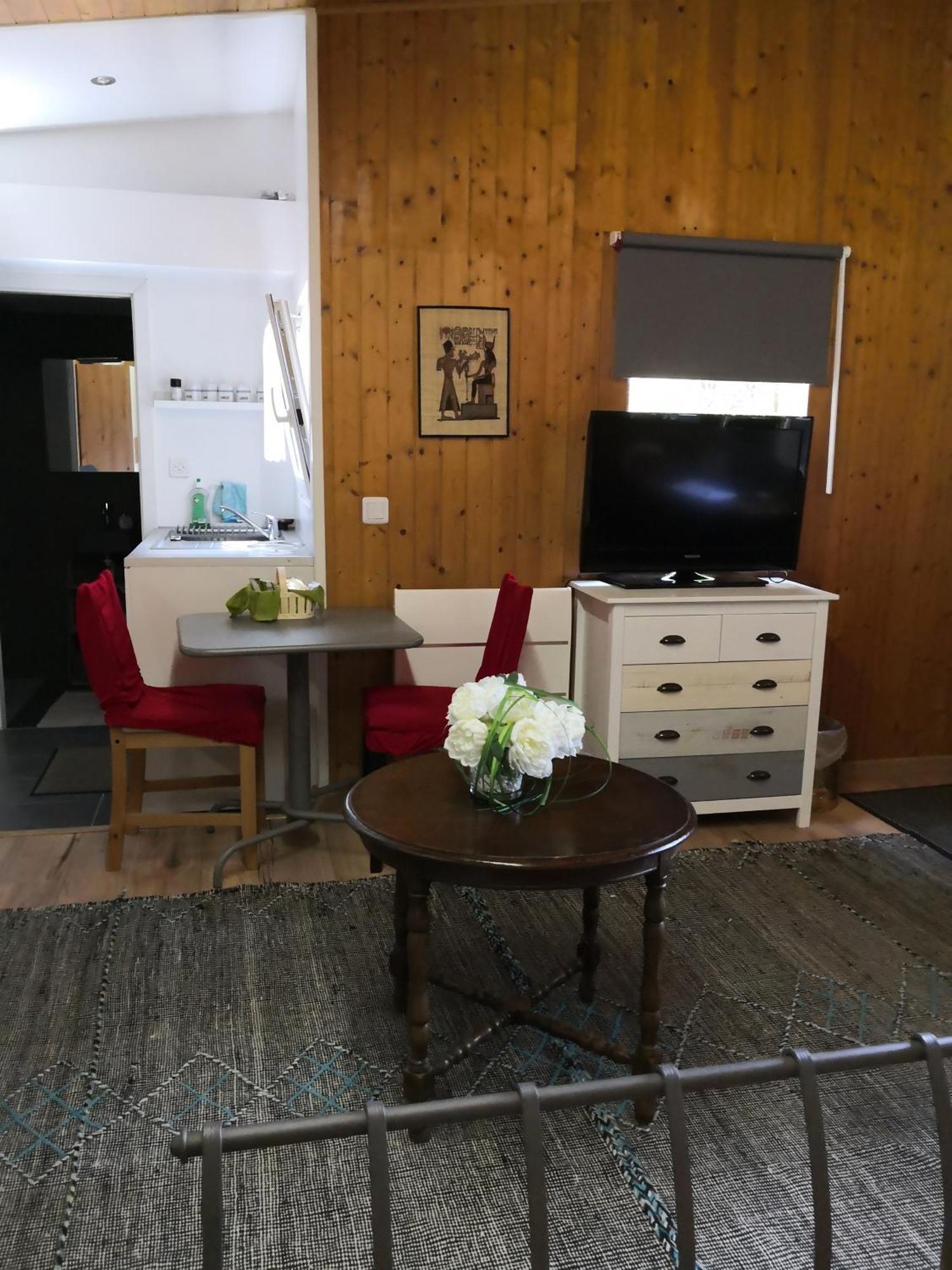 Apartment With Free Parking Terrace Free Wifi Connection Geneva