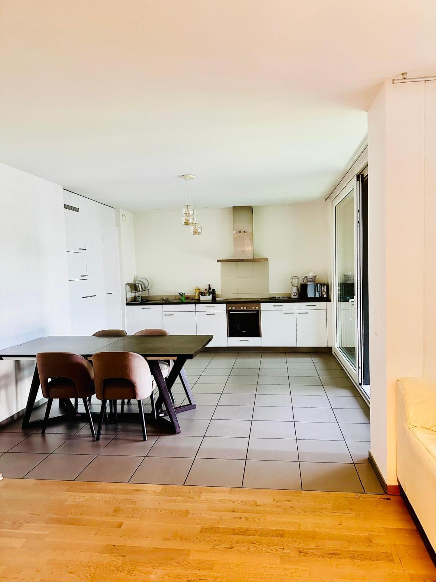Apartment Magnifique, 2 Chambres A 8 Minutes A Pieds Du Jet D'Eau! Geneva