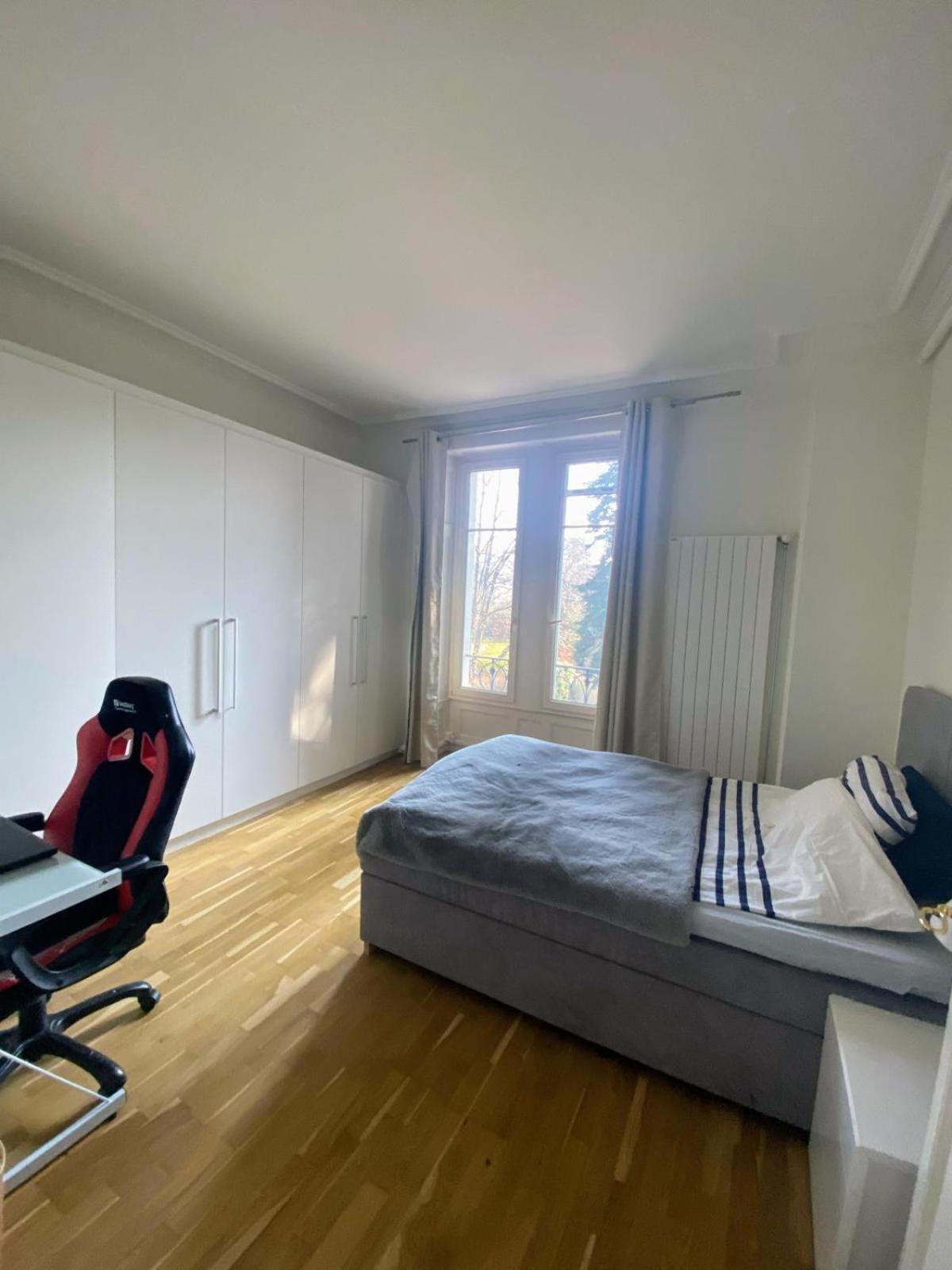 Montblanc Duplex Avec Jacuzzi * Geneva