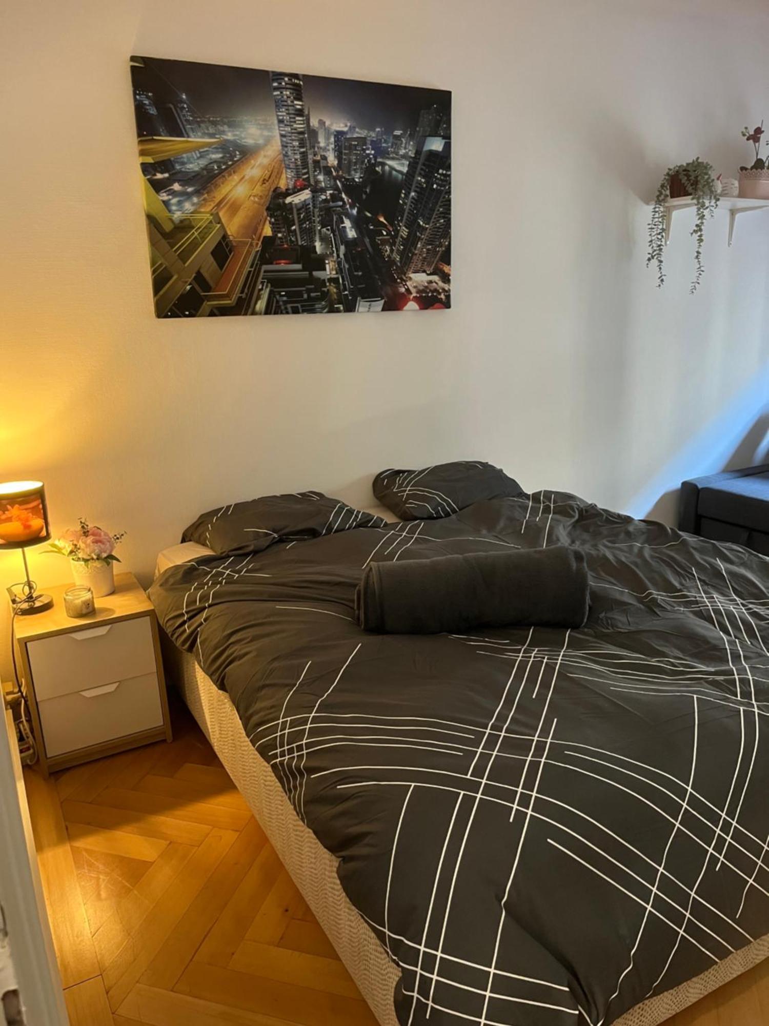 Apartamento Super A Plaimpalais *
